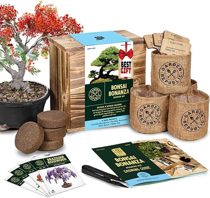 Garden Republic Bonsai Tree Kit - Mini Bonsai Seeds, 4 Types - Seed Starter Plant Growing Kit - Potting Soil Jute Bags Pruning Shears Tool and Plant Markers