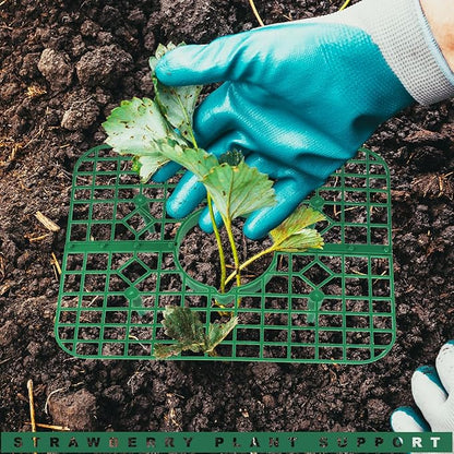 5 Pack Strawberry Plant Support Square Strawberry Supports for Garden Green Holder Plastic Stand with 4 Sturdy Legs Risers Growing Racks Frame