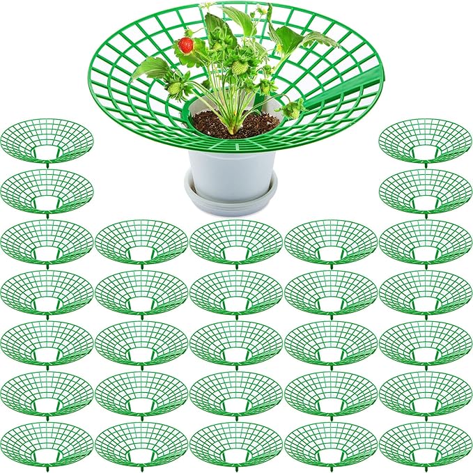 30 Packs Strawberry Supports Strawberry Growing Frame Strawberry Plant Support Plant Protectors Strawberry Trellis Growing Racks Plant Stand with 3 Sturdy Legs for Garden Strawberry Planting