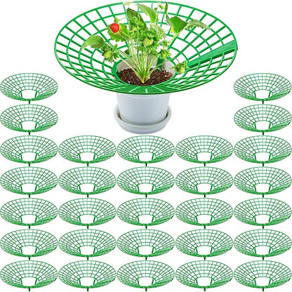 30 Packs Strawberry Supports Strawberry Growing Frame Strawberry Plant Support Plant Protectors Strawberry Trellis Growing Racks Plant Stand with 3 Sturdy Legs for Garden Strawberry Planting