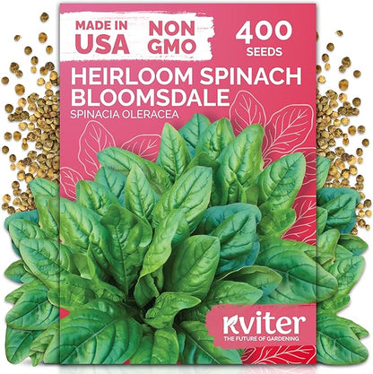 KVITER 400 Bloomsdale Spinach Seeds (Spinacia oleracea) — Non-GMO & Heirloom, Heat Tolerant, Cut and Come Again — Spinach Vegetable Seeds for Planting in Outdoor & Indoor Garden, Containers