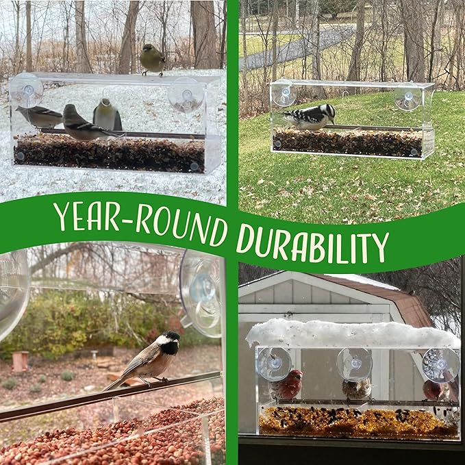 Window Bird Feeder by Nature’s Hangout - Award-Winning Clear Acrylic Bird Feeders for Outdoors, No Assembly, Strong Suction Cups, Bird Watching for Cats, Easy-to-Clean Birdhouse
