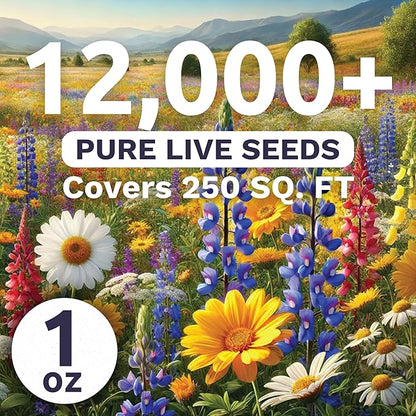 Southeast Regional Mix - Large 1 Ounce Packet - 12,000 Flower Seeds for Planting - Wildflower Mix
