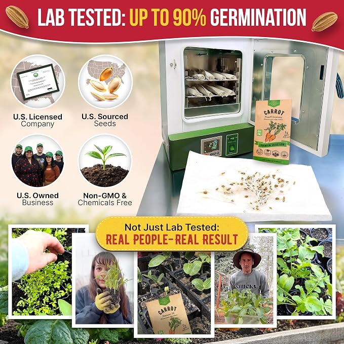 Organo Republic Carrot Royal Chantenay Seeds Pack 1G - Over 850 of Non-GMO Heirloom Carrot Seeds for Planting Vegetables in Individual Seed Packet, Vegetable Seeds for Planting Indoor & Outdoor Garden