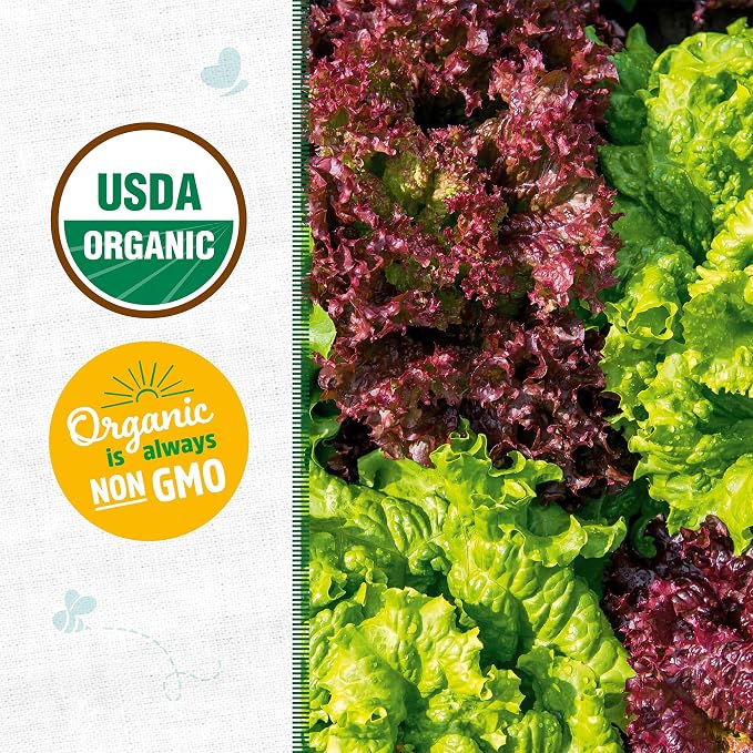 Back to The Roots 100% Organic Seed Packet - Lettuce 'Gourmet Blend' 420mg