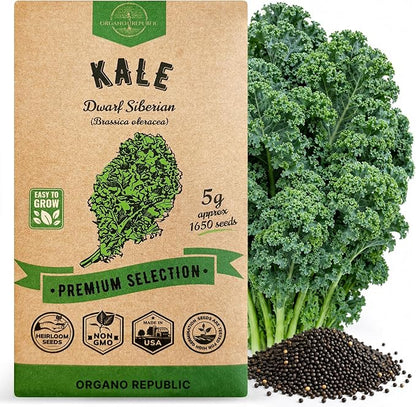 Organo Republic Kale Dwarf Siberian Seeds Pack 5 G - Over 1,650 Non-GMO Heirloom Kale Seeds for Planting Greens in Individual Seed Packet, Greens Seeds for Planting Home Garden Indoor & Outdoor