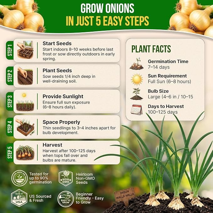 Onion Walla Walla Seeds Pack 1G - Over 275 Non-GMO Heirloom Onion Seeds for Planting Vegetables in Individual Seed Packet, Vegetable Seeds for Planting Home Garden Indoor & Outdoor Gardening