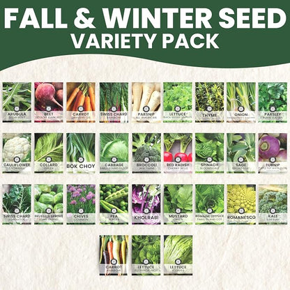 Fall & Winter Seed Variety Pack | 30 Invidiual Packs | 2026 Season | Non-GMO | Beets, Arugula, Carrots, Lettuce & More! | for Planting Indoor & Outdoor | by Family Sown