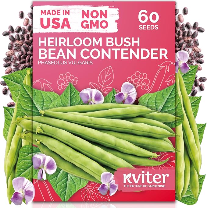 KVITER 60 Contender Bush Bean Seeds (Phaseolus Vulgaris) - Contender Beans, Stringless Green Bean, Early Days Harvest, Bush Beans Seed Packets - Heirloom Vegetable Seeds for Outdoor Garden, Containers