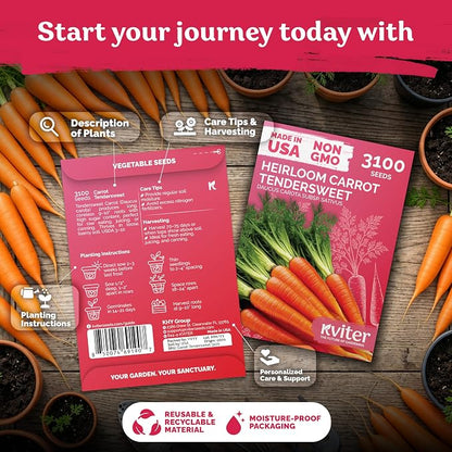 KVITER 3100 Tendersweet Carrot Seeds for Planting (Daucus carota) –Non GMO Vegetable Seeds for Outdoor Garden – Sweet Heirloom Carrots – Carrot Seed Packets for Home Garden, Beds, Containers