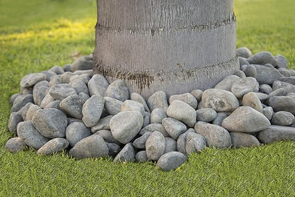 MSI Nile Decorative Polished Gray Pebbles, 1.2 inch - 2.4 inch, 40 lb. Bag (55 Bags/Pallet)