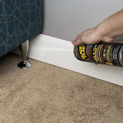 Black Flag Flea & Tick Killer for Upholstery & Pet Bedding Aerosol, 16-Ounce