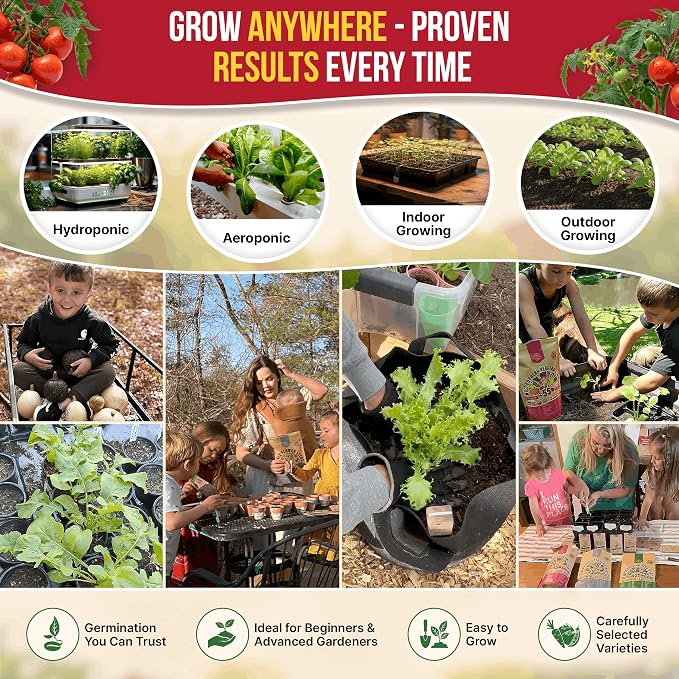 Tomato Large Cherry Seeds Pack 0.8 G - Over 300 of Non-GMO Heirloom Tomato Seeds for Planting Vegetables in Individual Seed Packet, Vegetable Seeds for Planting Home Garden Indoor & Outdoor Gardening