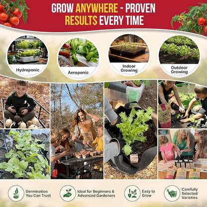 Tomato Large Cherry Seeds Pack 0.8 G - Over 300 of Non-GMO Heirloom Tomato Seeds for Planting Vegetables in Individual Seed Packet, Vegetable Seeds for Planting Home Garden Indoor & Outdoor Gardening