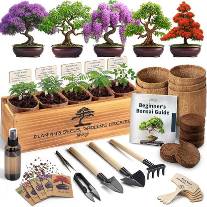 Bonsai Tree Kit Classic - 5X Unique Japanese Bonzai Trees | Complete Indoor Bonsai Starter Kits for Growing Trees – DIY Gardening Gifts for Mother, Women & Men, for Father's Day