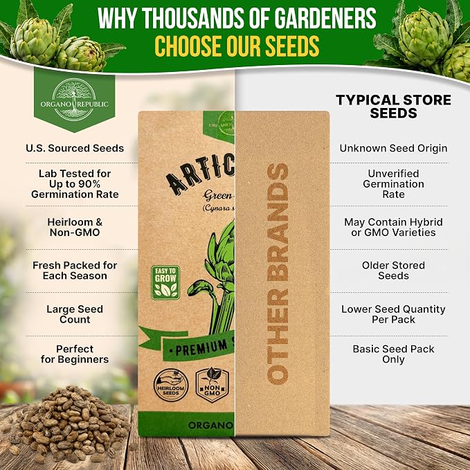 Green Globe Artichoke Seeds Pack 2G - Over 35 of Non-GMO Heirloom Artichoke Seeds for Planting Vegetables in Individual Seed Packet, Vegetable Seeds for Planting Home Garden Indoor & Outdoor Gardening