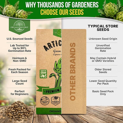 Green Globe Artichoke Seeds Pack 2G - Over 35 of Non-GMO Heirloom Artichoke Seeds for Planting Vegetables in Individual Seed Packet, Vegetable Seeds for Planting Home Garden Indoor & Outdoor Gardening