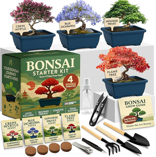 HOME GROWN Bonsai Tree Starter Kit – Unique Christmas Gift for Adults, Men, Women - Grow 4 Bonsais & HOME GROWN Succulent & Cactus Seed Kit for Planting