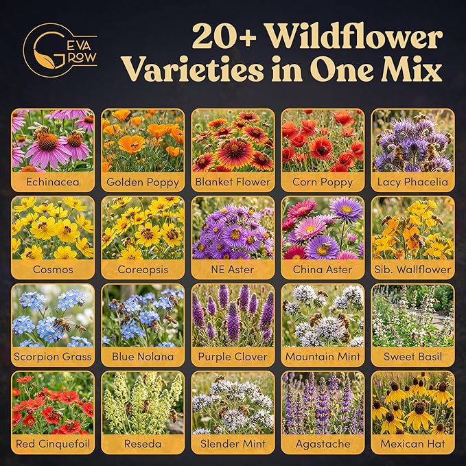 Bulk Wildflower Seed Mix – Honey Bee Wildflower Seed Mix 1 Pound Tub by GevaGrow | Bulk 300,000+ Seed Tub | 19 Variety Flower Seeds for Planting in Pots & Outdoor Gardens | No Messy Bags or Packets |