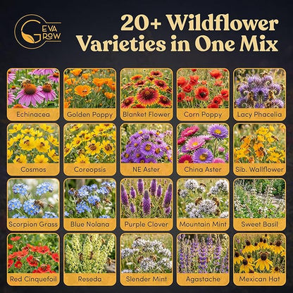 Bulk Wildflower Seed Mix – Honey Bee Wildflower Seed Mix 1 Pound Tub by GevaGrow | Bulk 300,000+ Seed Tub | 19 Variety Flower Seeds for Planting in Pots & Outdoor Gardens | No Messy Bags or Packets |