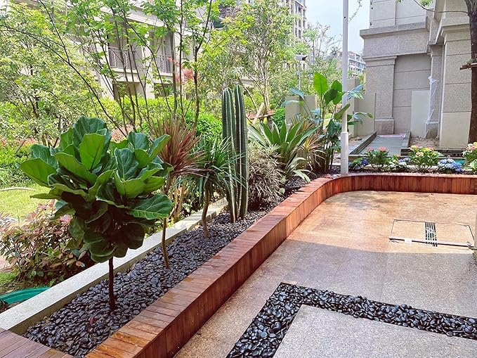 10 lbs Black Pebbles for Plants, 2-3 inch Large River Rocks for Plants, Decorative Stones for Planters Vase Aquarium Fish Tank and Outdoor Garden Landscaping