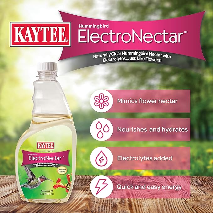 Kaytee Hummingbird ElectroNectar Wild Bird Food,16 oz Concentrate,Makes 128 oz of ElectroNectar,(Pack of 4)