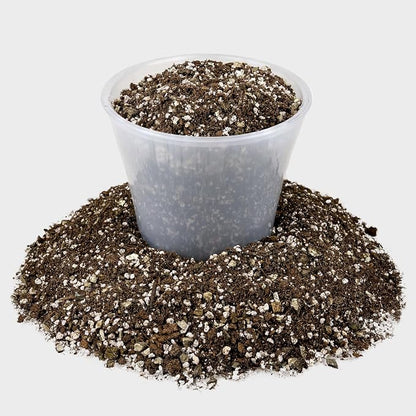 Premium African Violets and Gesneriad Premium Soil Mix by Gardenera - Horticultural Perlite (25%) + Vermiculite (25%) + Sphagnum Peat Moss (50%) - Made in USA - (4 Quart Bag)