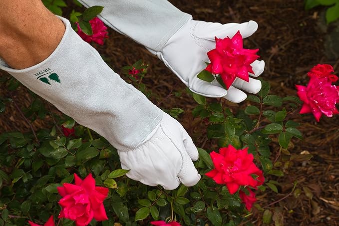 Leather Gardening Gloves By Fir Tree. Premium Goatskin Gloves with Cowhide Suede Gauntlet Sleeves. Perfect Rose Garden Gloves. (XS-6, Grey). ALL GLOVES ARE 1 PACKS ONLY.