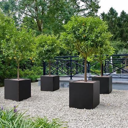 Wallowa Metallic Heavy Cube Planter Box, No Assemble, Seamless Large Square Planter for Trees, Plants and Flowers 21”Lx21”Wx24”H 35Pounds Black with Hand Brushed Gold Rim
