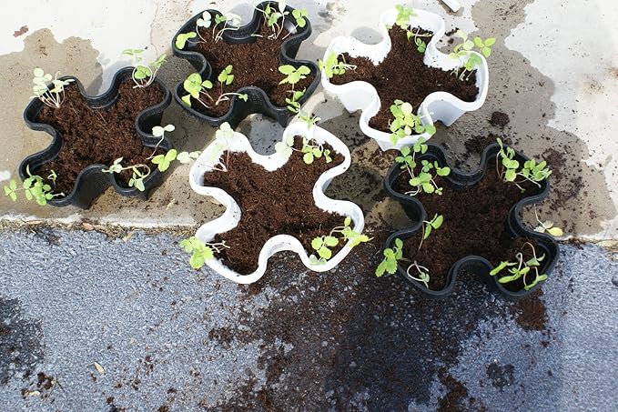 Mr. Stacky Multiple Color (Black + White) 5 Layer 13inch Vertical Planter