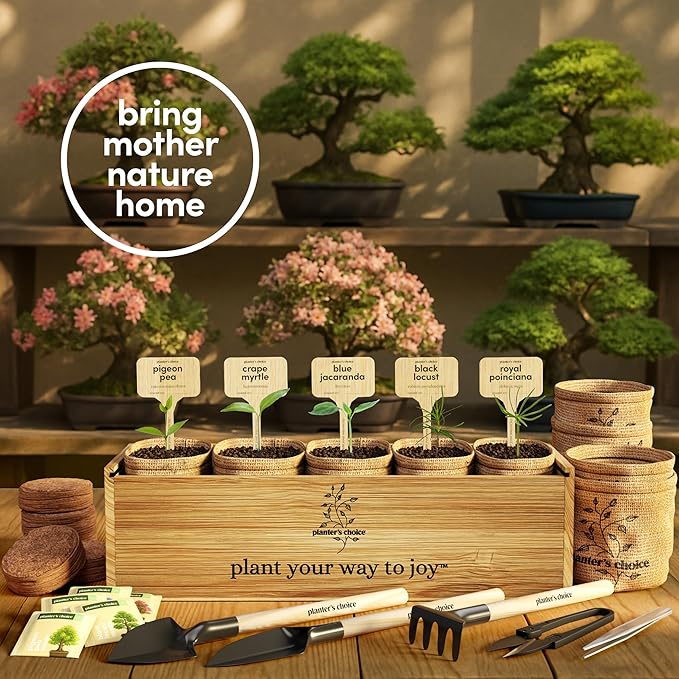 Planter's Choice Bonsai Tree Starter Kit - Birthday Gifts for Women, Men, Adults - Indoor Live House Plants - DIY Adults Craft Kits - Unique Hobby Gift Gardening Lovers - Gift Ideas Mom, Her, Friend