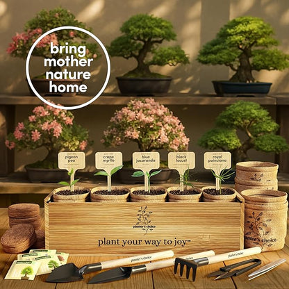Planter's Choice Bonsai Tree Starter Kit - Birthday Gifts for Women, Men, Adults - Indoor Live House Plants - DIY Adults Craft Kits - Unique Hobby Gift Gardening Lovers - Gift Ideas Mom, Her, Friend