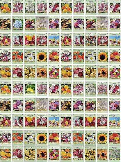 Black Duck Brand Set of 100 Flower Seed Packets! Flower Seeds in Bulk - Best Value Seeds - Great for Classrooms, Beginner Gardeners and Kids! - Deluxe Varieties! (100)