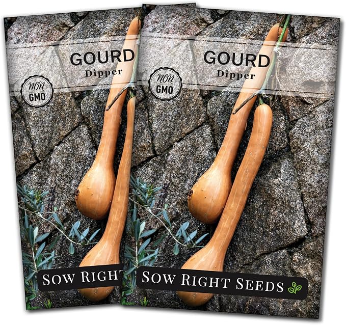 Sow Right Seeds - Dipper Gourd Seeds for Planting - Non-GMO Heirloom Packet with Instructions to Plant and Grow an Outdoor Home Vegetable Garden - Ornamental Craft Gourd - Rare & Unique (2)
