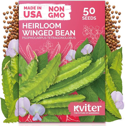 KVITER 50 Winged Bean Seeds (Psophocarpus Tetragonolobus) – Heirloom Goa Bean, High-Protein, Heat-Tolerant, Non GMO Seed Packets - Ideal Vegetable Seeds for Outdoor Garden, Raised Beds & Containers