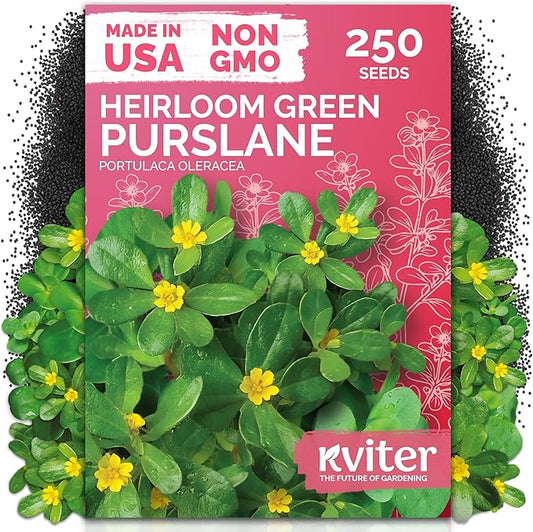 KVITER 250 Purslane Seeds (Portulaca Oleracea Sativa) - Green Purslane, Edible, Heat Tolerant Greens, Non GMO, Heirloom Seed - Herb Seeds in Seed Packets for Containers, Gardens, Indoors and Outdoors