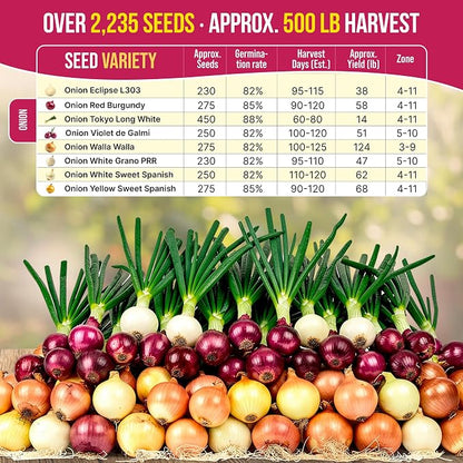 Organo Republic 8 Onion Seeds Variety Pack Heirloom, Non-GMO, Sets for Indoors, Outdoors Gardening. 2200+ Seeds: Walla Walla, Green Onion, Red Burgundy, White & Yellow Sweet Spanish Onions