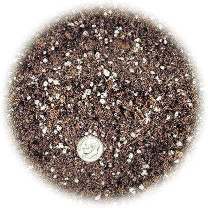 GARDENERA Premium Jade Plant Potting Soil Mix - 20 Quart (4 Bags of 5 Quart)
