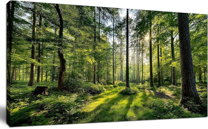 Tarfupth Large Forest Wall Art for Living Room Green Woodland Landscape with Sunlight Modern Nature Wall Decor for Bedroom Office Home Decor 20"x40"