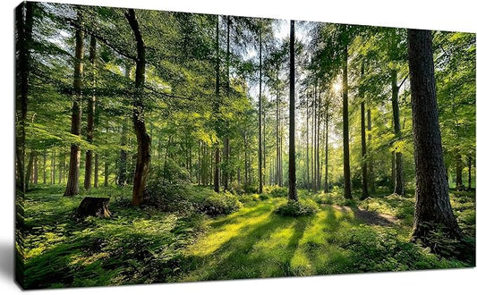 Tarfupth Large Forest Wall Art for Living Room Green Woodland Landscape with Sunlight Modern Nature Wall Decor for Bedroom Office Home Decor 20"x40"