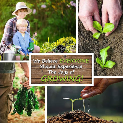 Bodacious R/M Hybrid Corn Garden Seeds (Treated) - 5 Lb ~10,155 Seeds - Non-GMO, SE (Sugary Enhanced) Vegetable Gardening