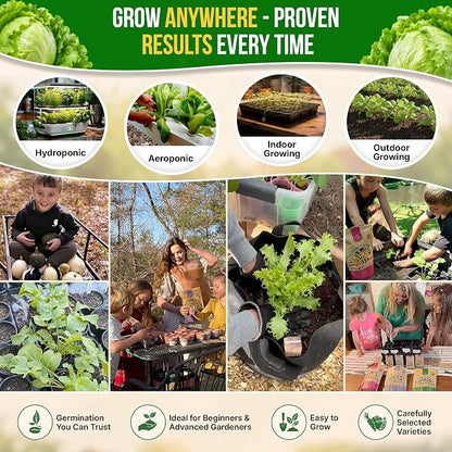 Lettuce Iceberg Seeds Pack 3G - Over 3,100 Non-GMO Heirloom Lettuce Seeds for Planting Greens in Individual Seed Packet, Greens Seeds for Planting Home Garden Indoor & Outdoor Gardening