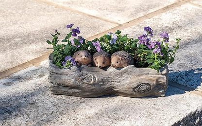 Roman, 5.25" h x 14" W Hedghog Garden Planter, Outdoor Decor,Whimsical Resin Outdoor Pot, Cute Animal Yard Décor, Unique for Garden or Patio