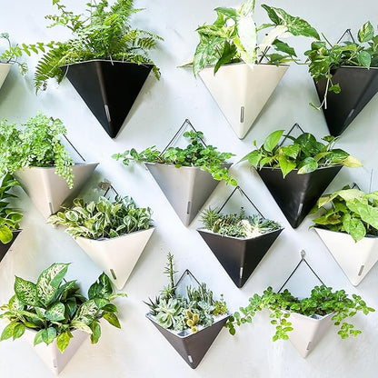 LaLaGreen Succulent Wall Planters - 2 Pack, 12 Inch Large Self Watering Wall Hanging Planters for Indoor Plants Gray Wall Mount Triangle Geometric Flower Vase Pot Black Metal Hanger Living Wall Decor
