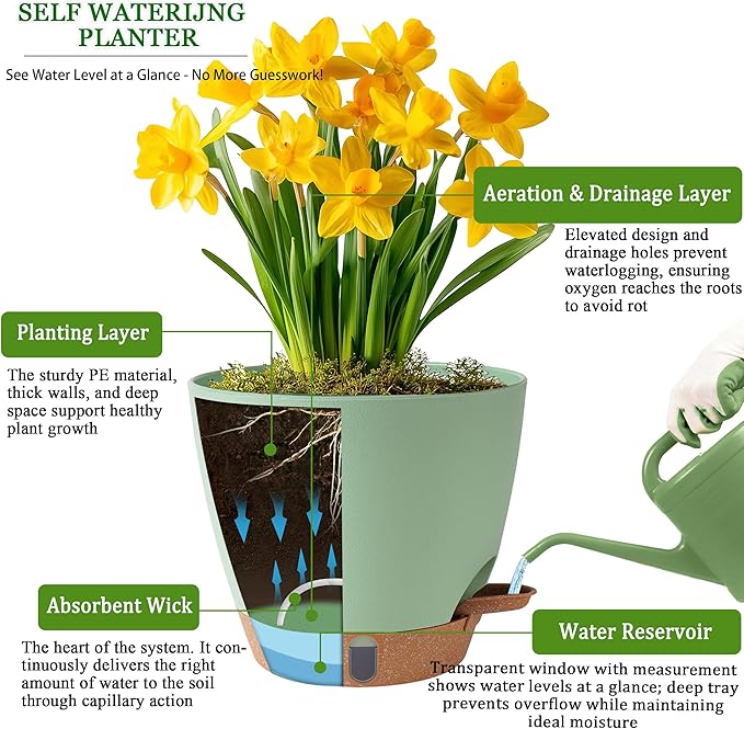 Self Watering Pots for Inoor Ourdoor Plants 8/7/6.5/6/5 Inch Plastic Planters with Drainage Holes & Water Level Indicator, Decorative House Flower Nursery Planting Pots with Saucers (Green)