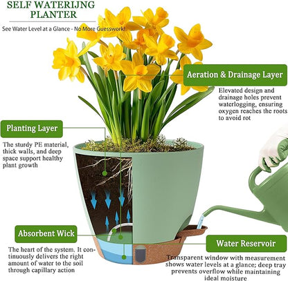 Self Watering Pots for Inoor Ourdoor Plants 8/7/6.5/6/5 Inch Plastic Planters with Drainage Holes & Water Level Indicator, Decorative House Flower Nursery Planting Pots with Saucers (Green)