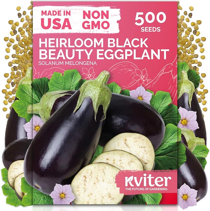 KVITER 500 Black Beauty Eggplant Seeds (Solanum Melongena)- Black Beauty Aubergine, Large, Glossy Fruit, Heirloom Eggplant Seed Packets - Vegetable Seeds for Outdoor Garden, Containers