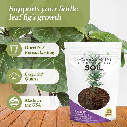 Professional Fiddle Leaf Fig Soil Mix Large 2.2 Quarts Ready to Use, Premium Potting Soil for Fiddle Leaf Fig Indoor Houseplants, Fast Draining Blend Peat Sawdust Coarse Sand Pinebark Made in USA