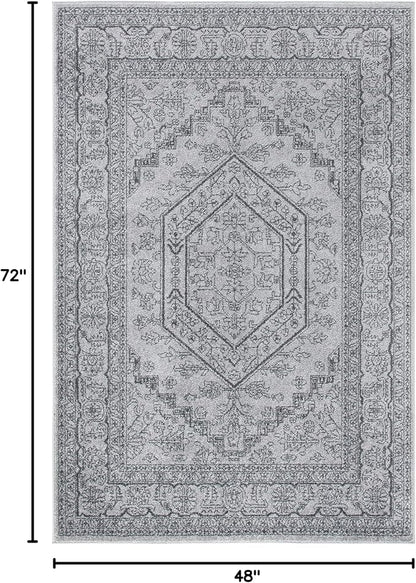 SAFAVIEH Adirondack Collection Accent Rug - 4' x 6', Light Grey & Dark Grey, Oriental Medallion Design, Non-Shedding & Easy Care, Ideal for High Traffic Areas in Foyer, Living Room, Bedroom (ADR108C)