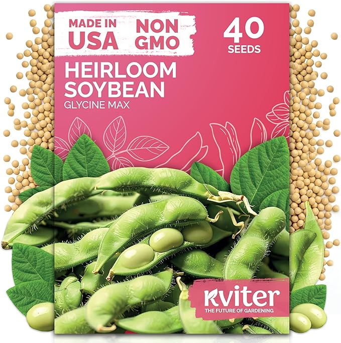 KVITER 40 Soy Bean Midori Giant Edamame Seeds (Glycine max) - Green Soybean, Soy Beans Non GMO Variety, Sweet Nutty Flavor - Heirloom Vegetable Seeds for Planting Outdoors in Home Garden